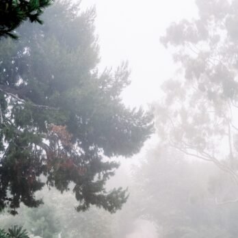 Diepere verbinding: Hoe je relaties laat groeien vanuit jezelf