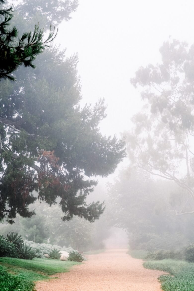 De kunst van veranderen: 3 valkuilen en hoe je ze doorbreekt